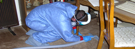 Thorough clean-up, Pet Overpopulation, Suicides, Homicides and Crime Scene Clean-up, Texas Decon, LLC
